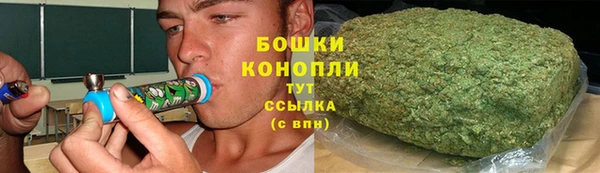 прущие грибы Балахна