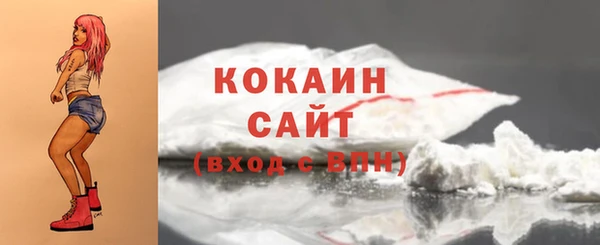 прущие грибы Балахна