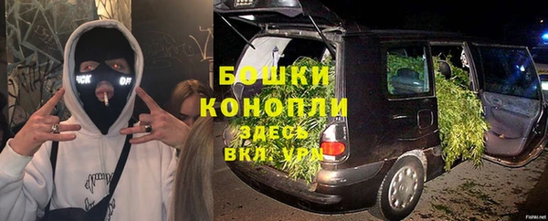 прущие грибы Балахна