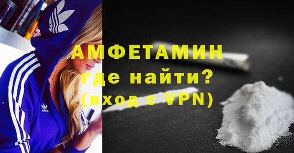 прущие грибы Балахна