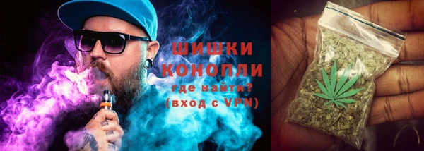 прущие грибы Балахна